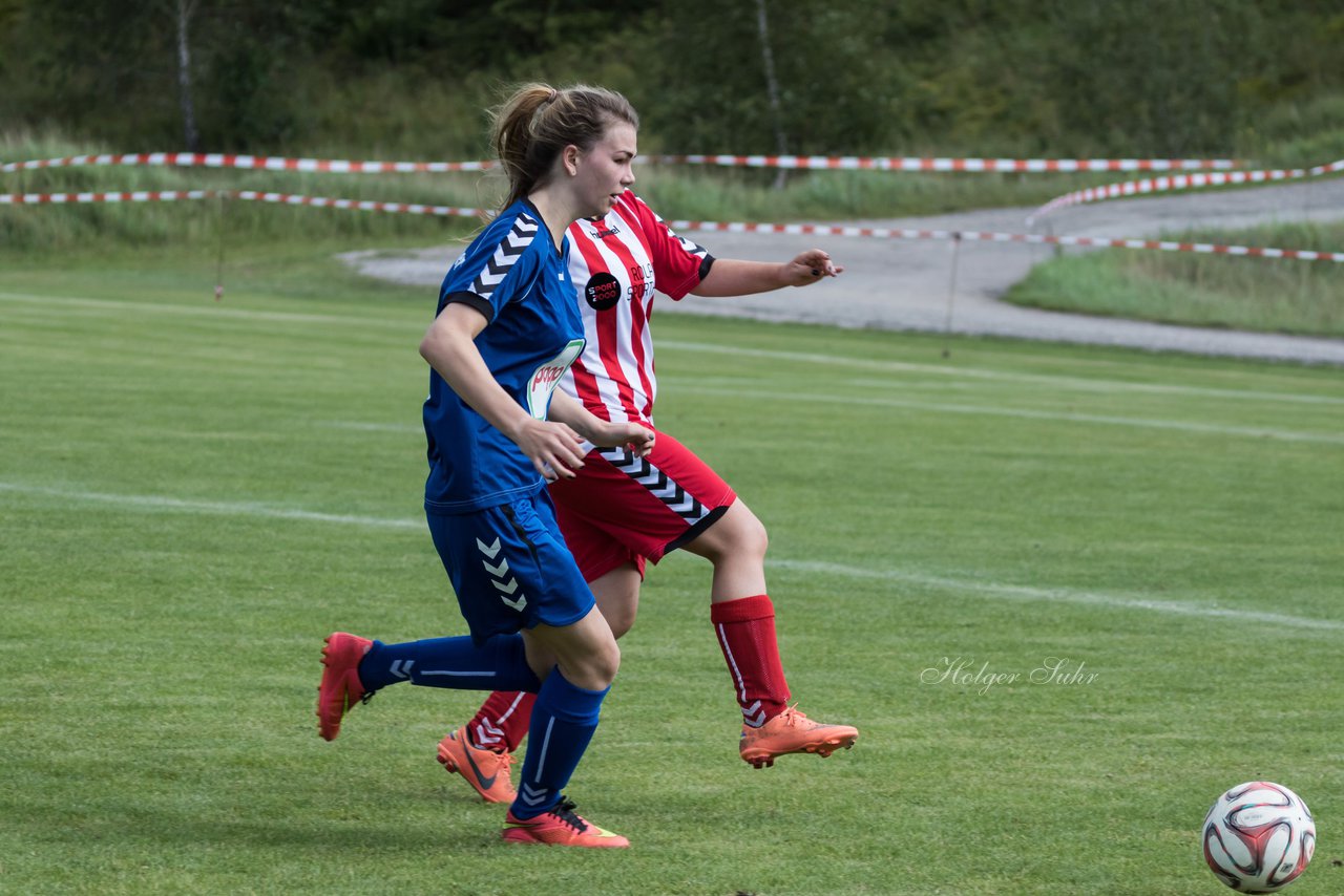 Bild 333 - B-Juniorinnen TuS Tensfeld - FSC Kaltenkirchen : Ergebnis: 3:6